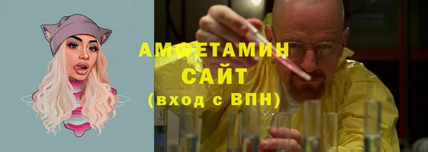 шишки Заволжье