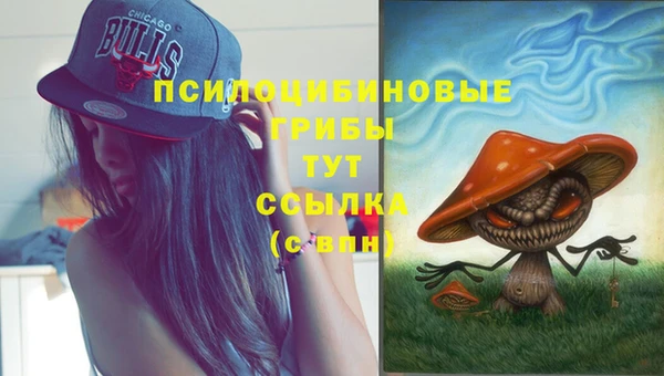 гашиш Абаза