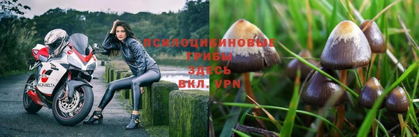 гашиш Абаза