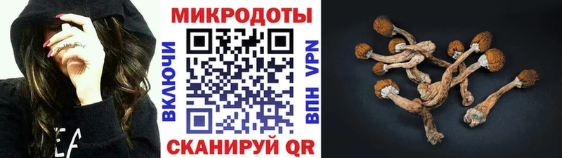 Галлюциногенные грибы Cubensis  мега tor  Лермонтов 