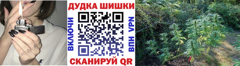 купить   Лермонтов  дарк нет состав  Шишки марихуана THC 21% 